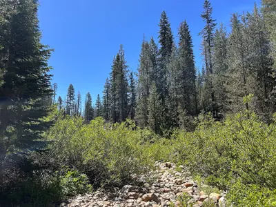 Chiquito Creek in rural Madera County, California 01