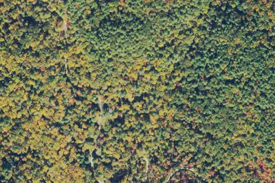 Helen, GA Site 15