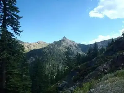 Carter Meadows Horse Group