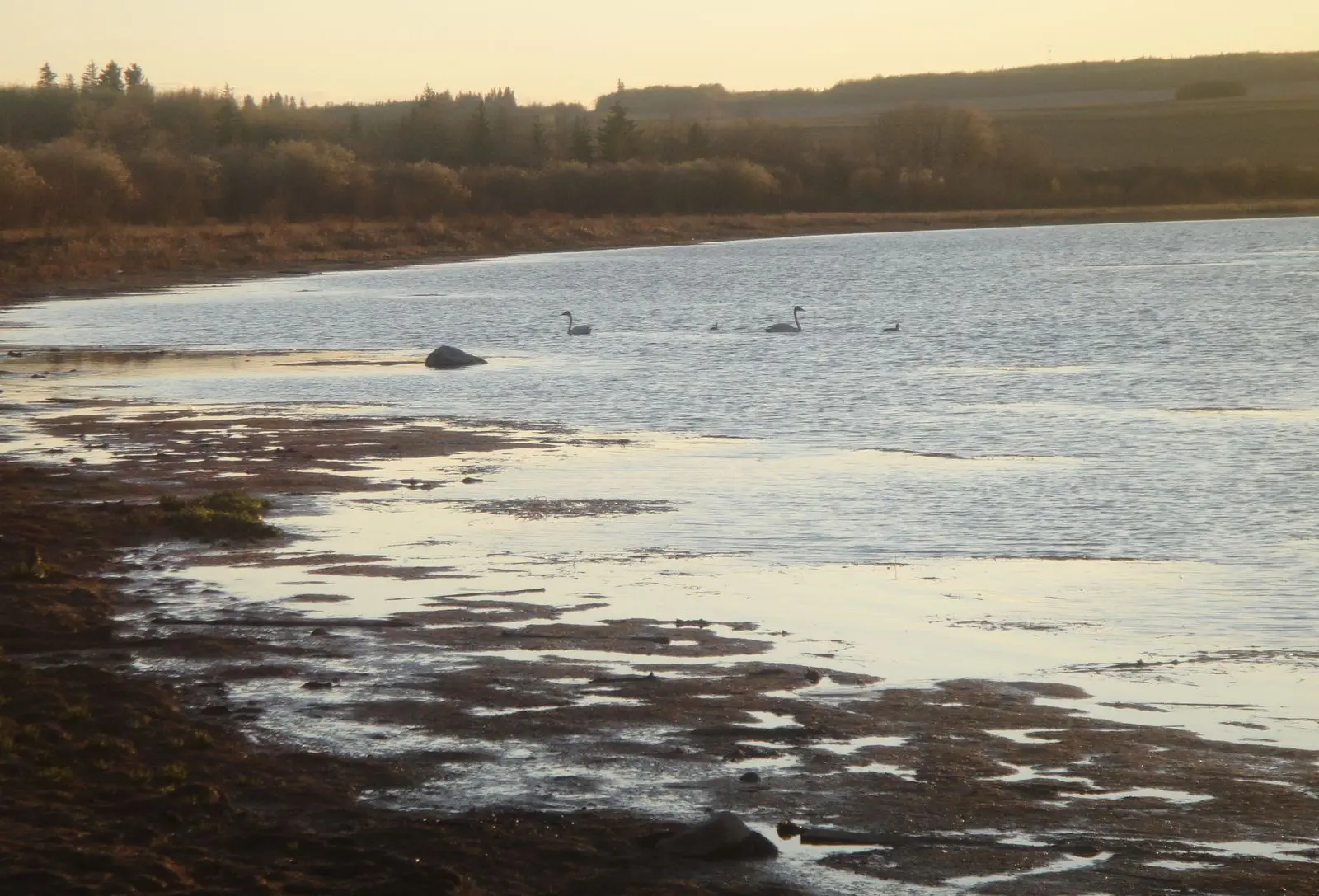 Photo of Saskatoon Island Provincial Park