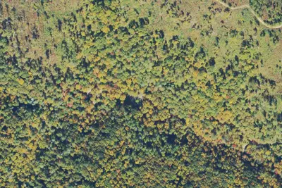 Camp site