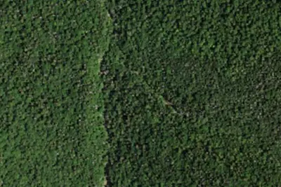 Camp site (NYSDEC)