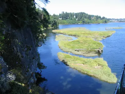 Living forest campground near Nanaimo - panoramio