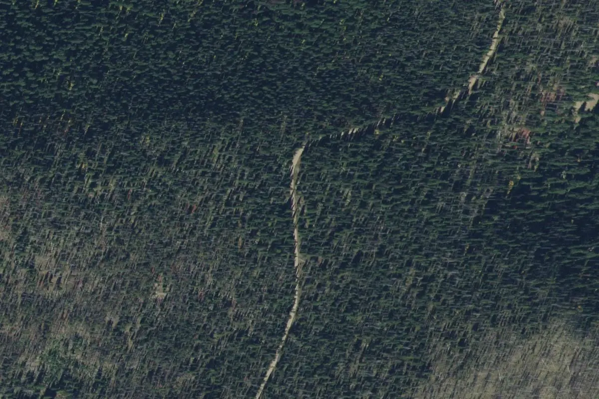 Aerial view