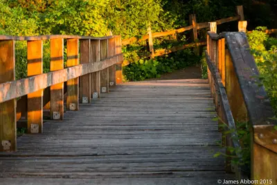 Birch Bay State Park (2015-05-16) — Boardwalk