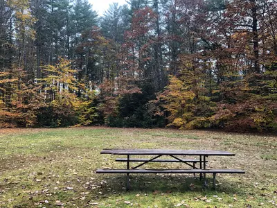 20221024-FS-WMNF-NK-002 Campton CG ballfield 3 USDA Forest Service photo by Nicolette Keown