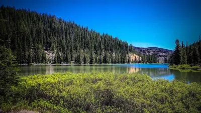 Todd lake from trail-deschutes (28740146286)