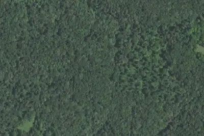 Camp site