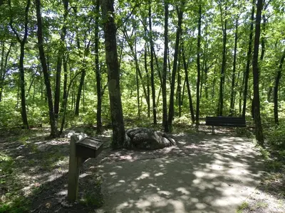 The high point of Missouri - panoramio