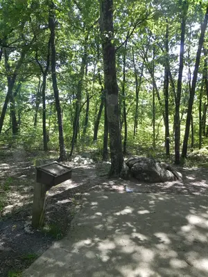 Taum Sauk Mountain Summit