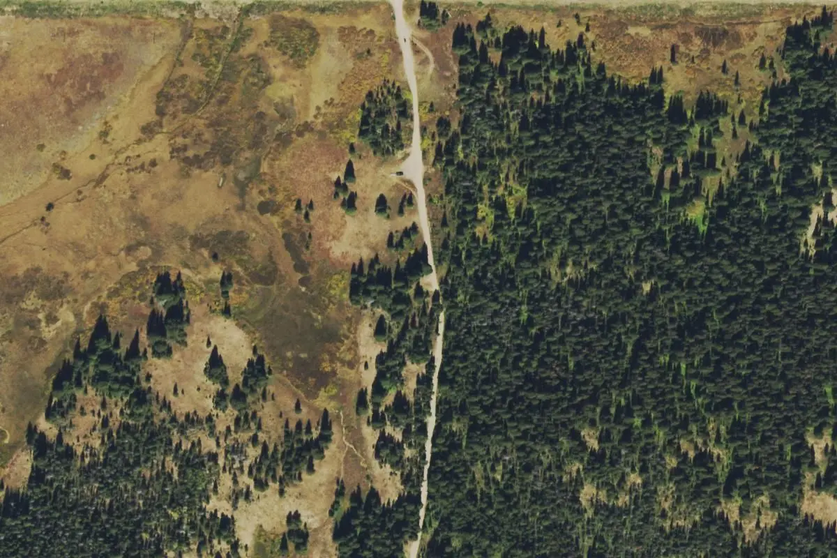 Aerial view