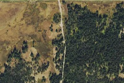 Rabbit Ears Pass Camp
