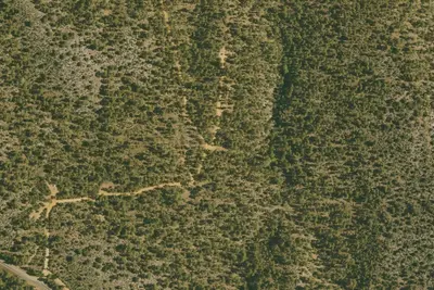 Site 7