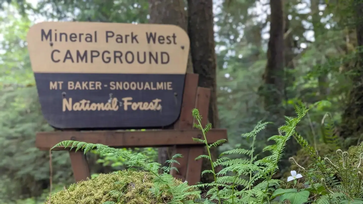 USFS sign for mineral park entrance
