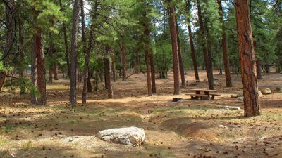 Mather Campground