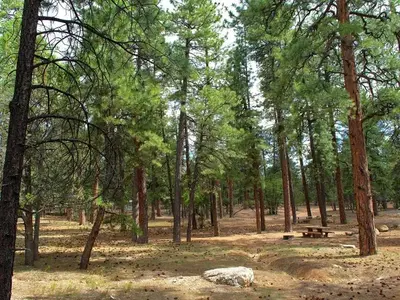 Mather campground staff working to open campground for the season.