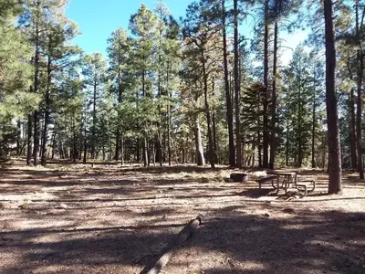 Gentry Group Campground Site 002