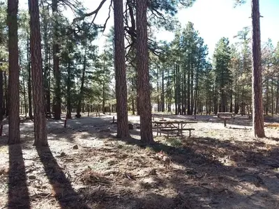 Gentry Group Campground Site 004