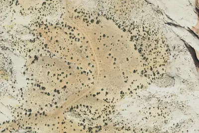 Camp site