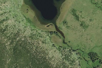 Wolf Lake Outlet