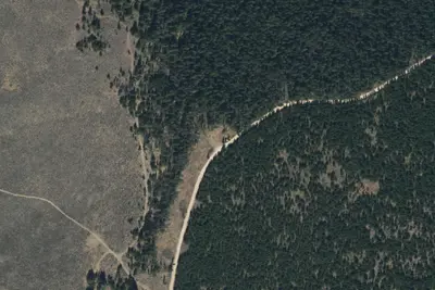 Lone Log