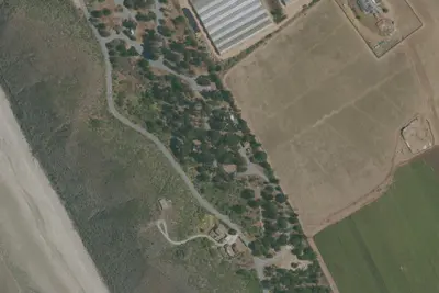 Pine Hollow Camp