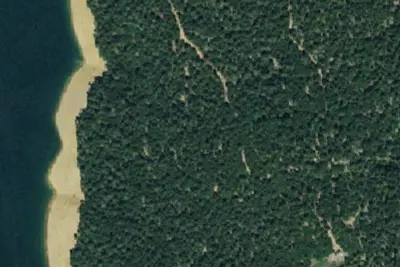 Jackass Springs Campground
