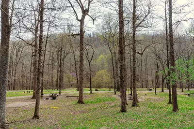 Crystal Campground - Ouachita National Forest, Arkansas (47476076432)