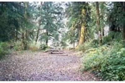 Esswine Group Camp