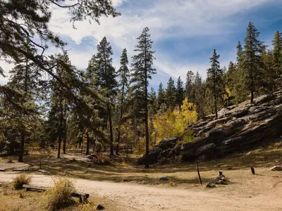 Burning Bear Campground, Colorado in Autumn (45706472191)