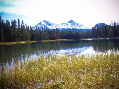 Scott Lake Reflection, Willamette National Forest (34727463042)