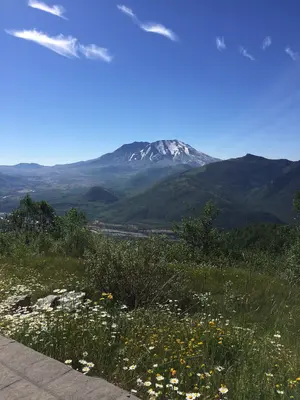 Mount St. Helens summertime roadside view