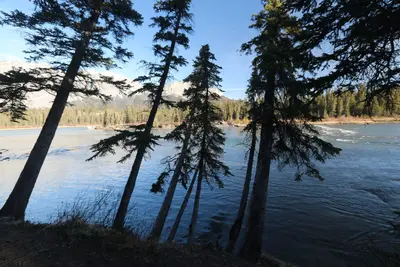 Bow valley Provincial park Alberta Canada March 2016 (26073237275)