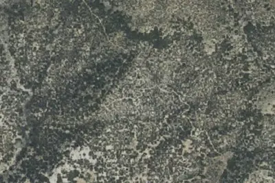 Camp site