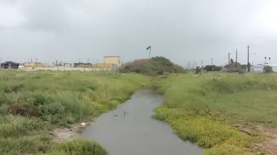 Flooding from Tropical Storm Nicholas,