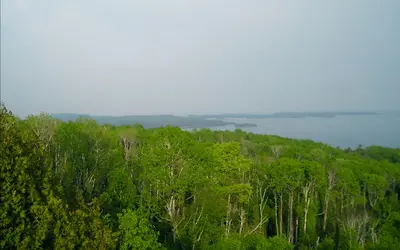 Overlooking the forest by the lake - panoramio