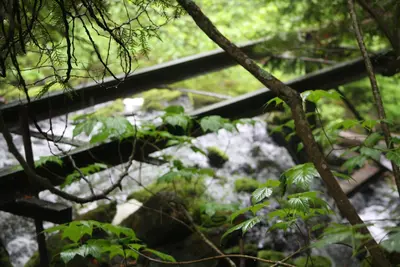 Wawa Area (3699581030)