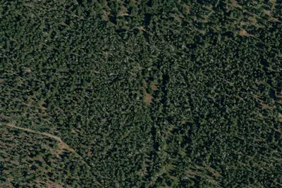 Snyder Camp