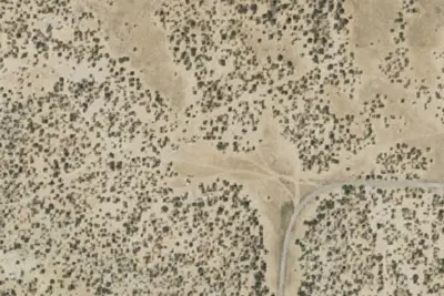 Camp site