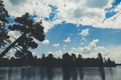 Bear Head Lake State Park - Summer Afternoon (36243044145)