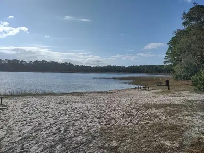 Shore of Clearwater Lake