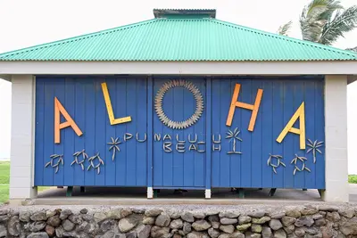 Punalu'u Beach, Pahala (504426) (23736868701)