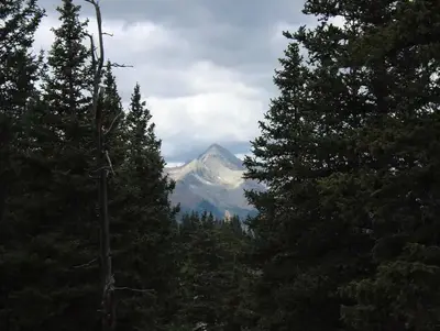 Grand Mesa, Uncompahgre, Gunnison National Forest