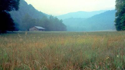Cataloochee Horse Camp