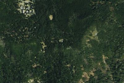 Mount LeConte Shelter