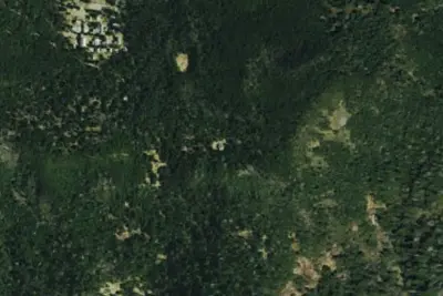 Mount LeConte Shelter