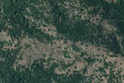 Camp site