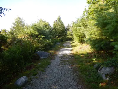Parc provincial Graves Island - août 2017 02