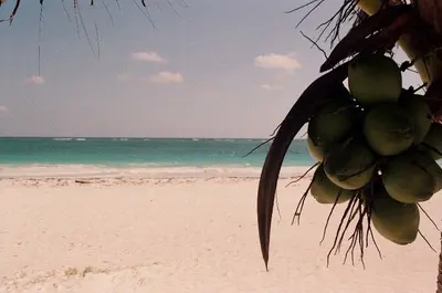 Coconuts, Tulum - panoramio