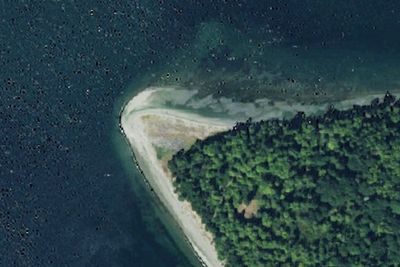 Cascadia Marine Trail Campsite - Blake Island